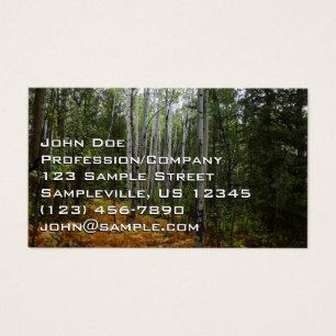 Cartes De Visite Birch Trees blancs et fougères d'automne à Rocky M