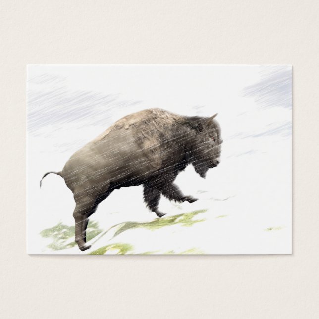 Cartes De Visite Bison dans la tempête hivernale (Devant)