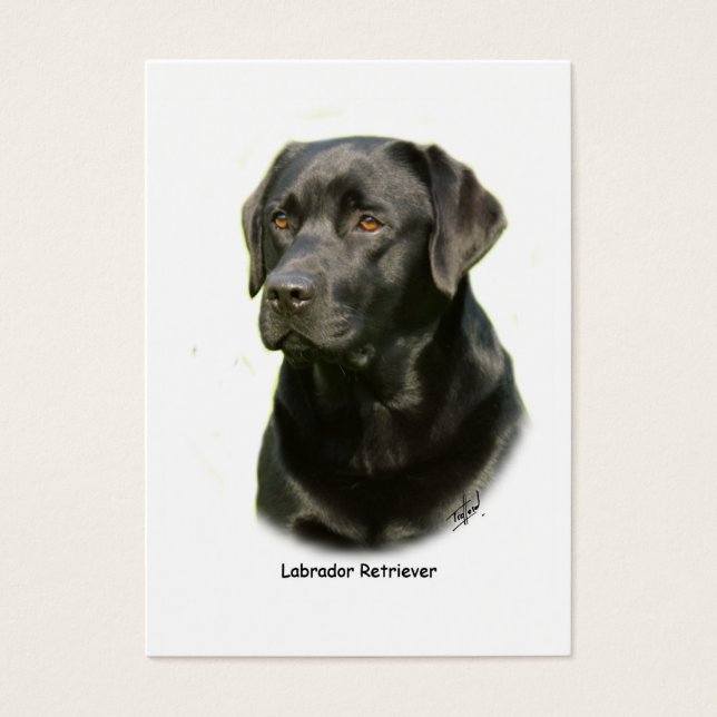 Cartes De Visite Black Labrador Retriever (Devant)