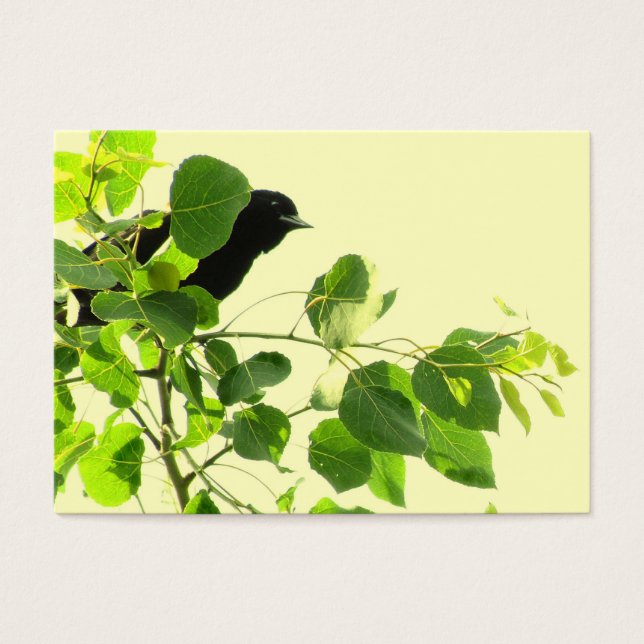 Cartes De Visite Blackbird ATC (Devant)