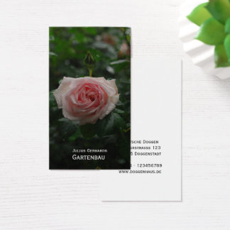 Cartes De Visite Blau und frei