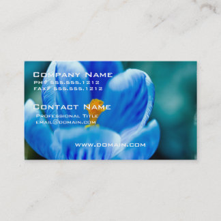 Cartes de visite bleus de crocus