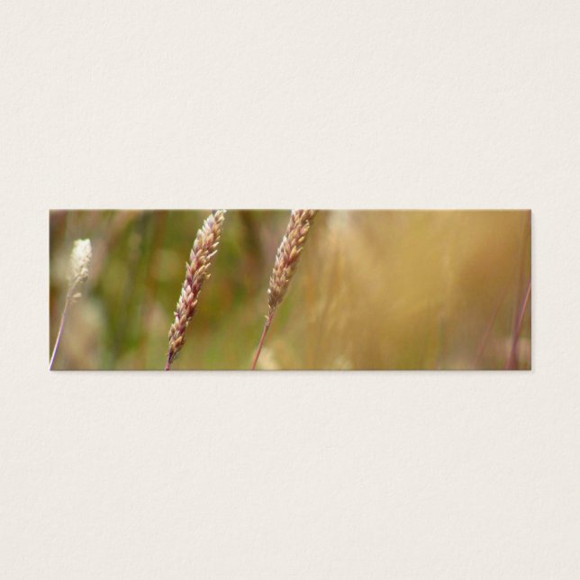 Cartes De Visite Blur de champ de blé (Devant)