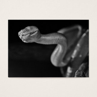 Cartes De Visite Boa d'arbre noir et blanc