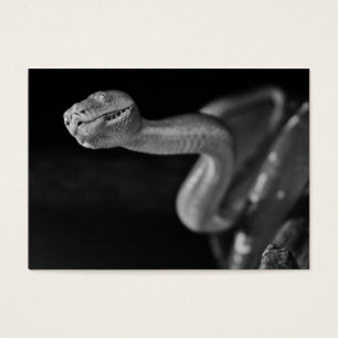 Cartes De Visite Boa noir et blanc d'arbre