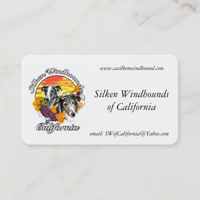 Cartes de visite Boofest 2015 de SWC (Devant)