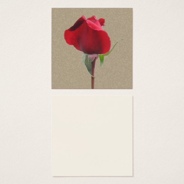 Cartes De Visite Boule de rose rouge simple (Devant & derrière)
