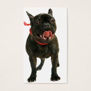 Cartes De Visite Bouledogue français