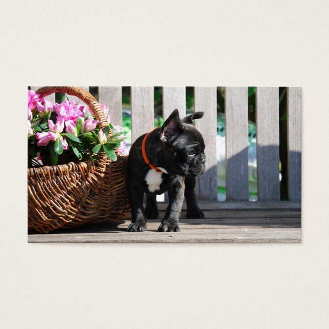Cartes de visite Bouledogues Français (Devant)