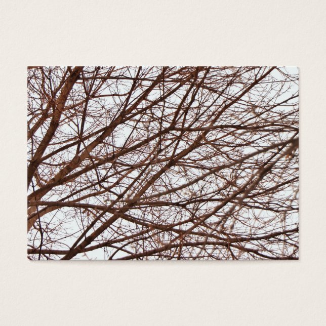 Cartes De Visite Branches arborescentes à l'automne (Devant)
