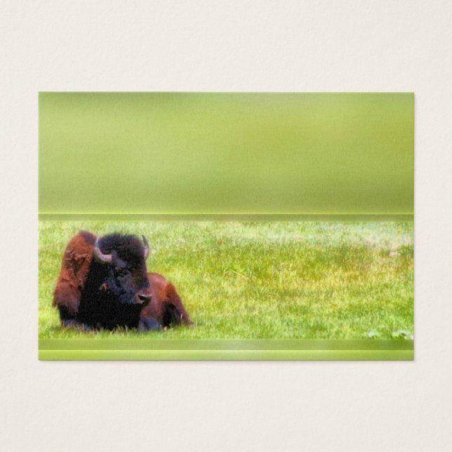 Cartes De Visite Buffalo Meadow (Devant)