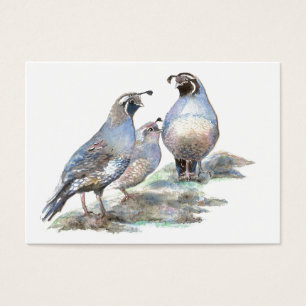 Cartes De Visite Cailles d'ATC la Californie d'ACEO
