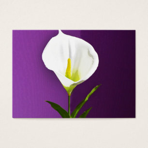 Cartes De Visite Calla Lilly