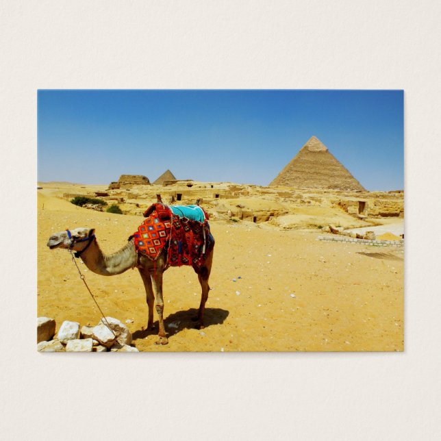 Cartes De Visite Camel (Devant)