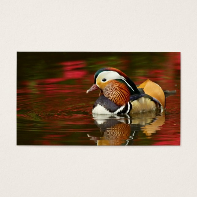 Cartes De Visite Canard mandarin (Devant)
