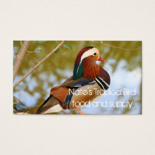 Cartes De Visite Canard mandarin