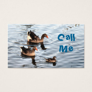 Cartes De Visite Canards nageurs