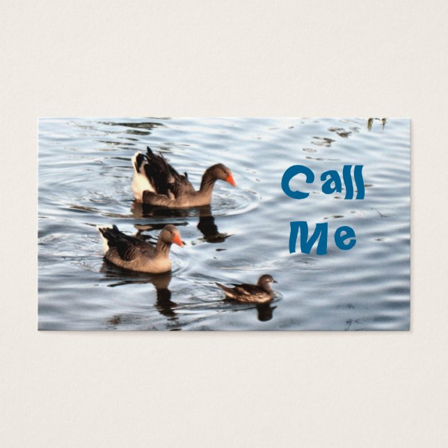 Cartes De Visite Canards nageurs (Devant)