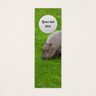 Cartes De Visite Capybara Animal Incroyable