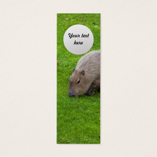 Cartes De Visite Capybara Animal Incroyable (Devant)