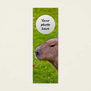 Cartes De Visite Capybara Animal Incroyable