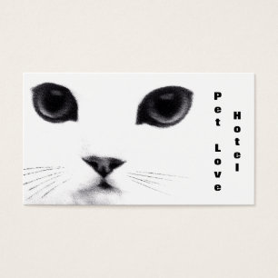 Cartes De Visite Caractéristiques classiques de chat