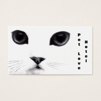 Cartes De Visite Caractéristiques classiques des chats