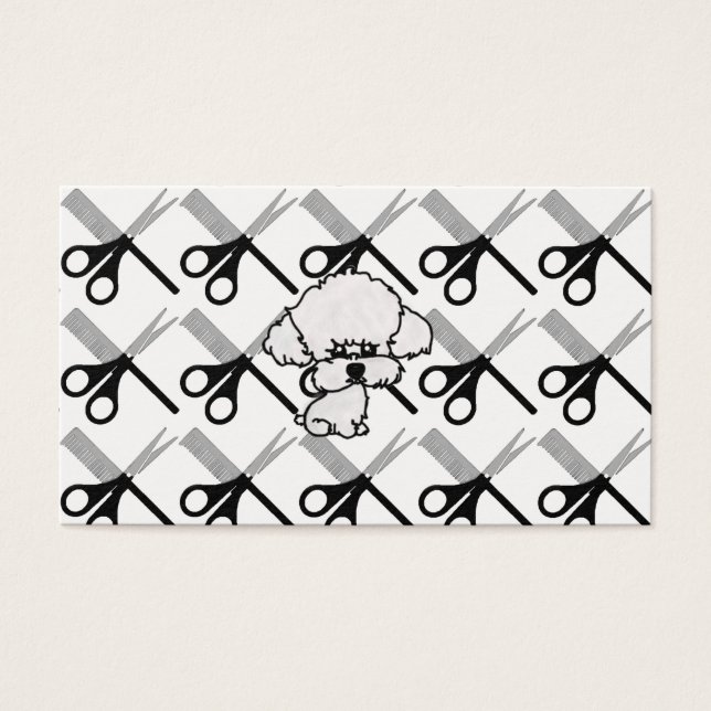 Cartes De Visite cartão de visita (Devant)