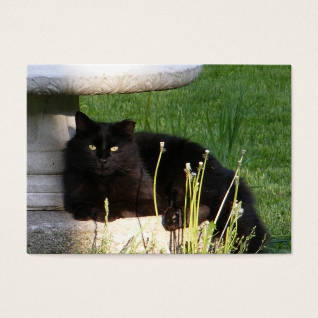 Cartes De Visite Cat 120 ~ ATC (Devant)