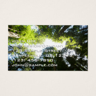 Cartes De Visite Cercle de séquoias à Redwood National Park