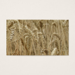 Cartes De Visite Champ de blé