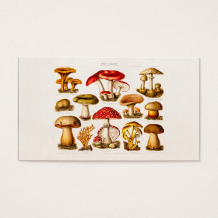 Cartes De Visite Champignons vintages de rouge de variété de
