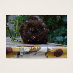 Cartes De Visite Chat noir en colère