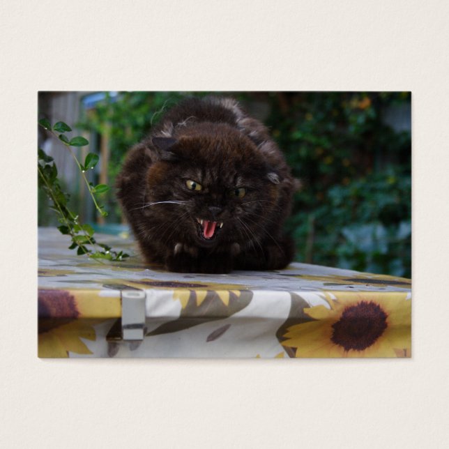 Cartes De Visite Chat noir en colère (Devant)