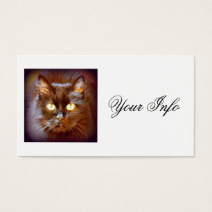 Cartes De Visite chats noirs