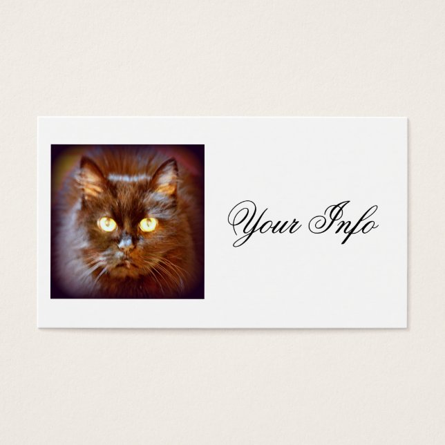 Cartes De Visite chats noirs (Devant)
