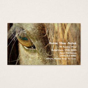 Cartes De Visite Chaussure à cheval Acres