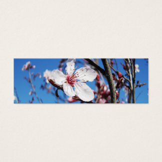 Cartes De Visite Cherry Blossom 2 Signet