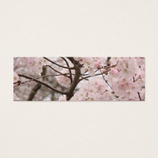 Cartes De Visite Cherry Blossom Signet