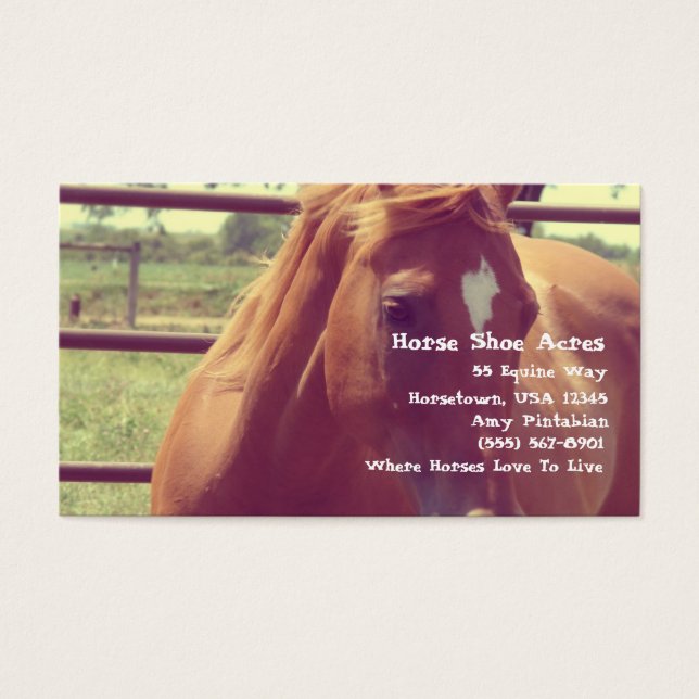 Cartes De Visite Cheval Chaussure Acres Soft Focus Sorrel (Devant)