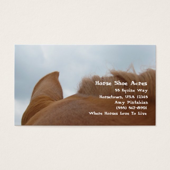 Cartes De Visite Cheval Chaussure Acres Sorrel Cheval (Devant)