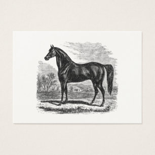 Cartes De Visite Cheval vintage de 1800s - modèle de cavalier de