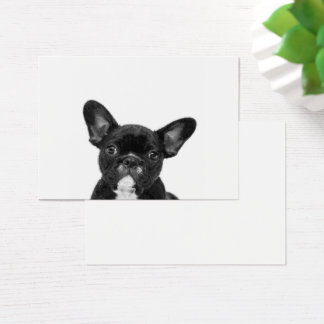 Cartes De Visite Chien adorable | Black French Bulldog Face
