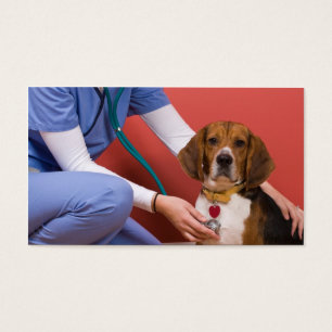 Cartes De Visite Chien Beagle mignon Obtenir un examen vétérinaire