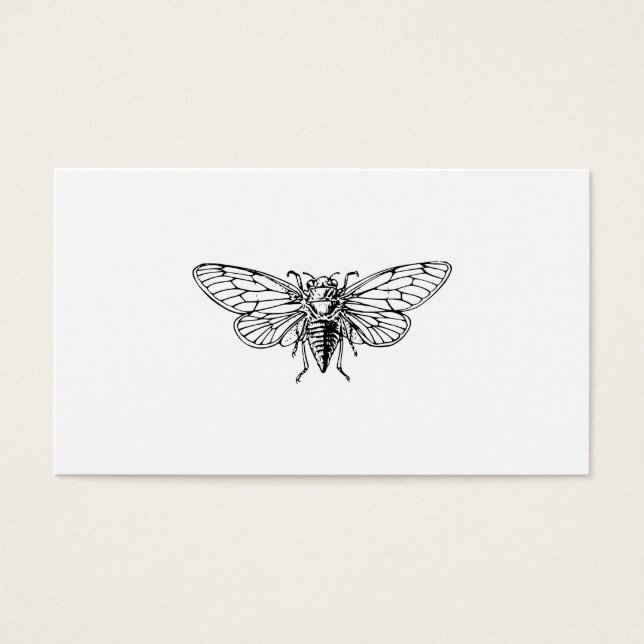 Cartes De Visite Cicada (Devant)
