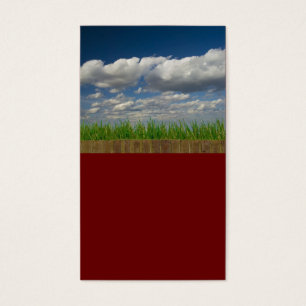 Cartes De Visite ciel, herbe, briques