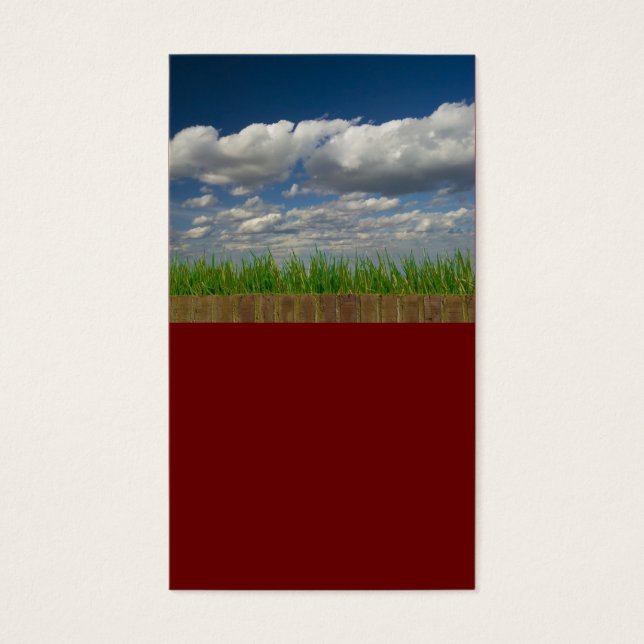 Cartes De Visite ciel, herbe, briques (Devant)