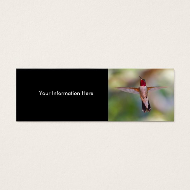 Cartes De Visite colibri (Devant)