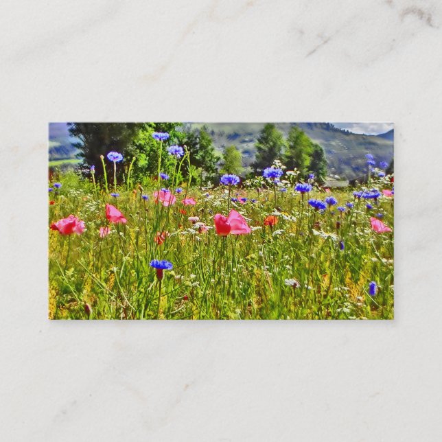 Cartes de visite colorés de champ de fleur sauvage (Devant)