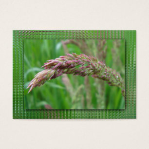 Cartes De Visite Comment l'herbe grandit Signet